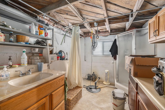12118 N Sherman Lake Dr, Augusta, MI 49012 - basement with a sink