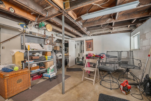 12118 N Sherman Lake Dr, Augusta, MI 49012 - basement with concrete block wall