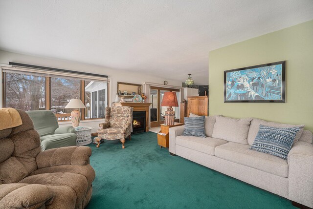 12118 N Sherman Lake Dr, Augusta, MI 49012 - living area featuring carpet and a warm lit fireplace