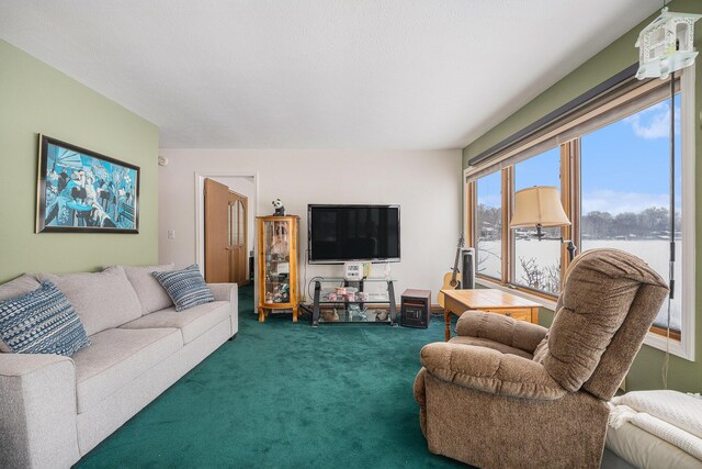 12118 N Sherman Lake Dr, Augusta, MI 49012 - living area with dark colored carpet
