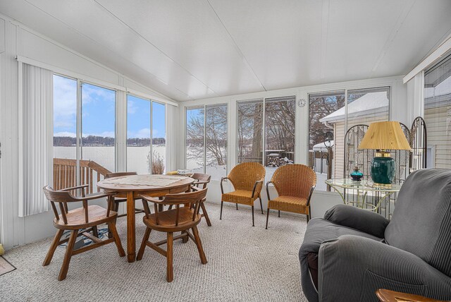 12118 N Sherman Lake Dr, Augusta, MI 49012 - sunroom / solarium featuring lofted ceiling