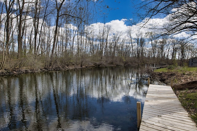 10773 Frankfort, Pinckney, MI 48169 - dock area featuring a water view