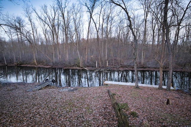 10773 Frankfort, Pinckney, MI 48169 - dock area with a water view