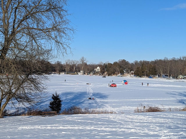 10773 Frankfort, Pinckney, MI 48169 - view of snowy yard