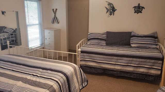 bedroom featuring carpet