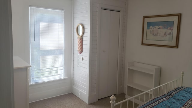 bedroom featuring carpet