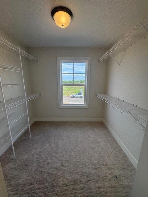 1967 Lowe Dr, Spring Lake, MI 49456 - spacious closet featuring carpet floors