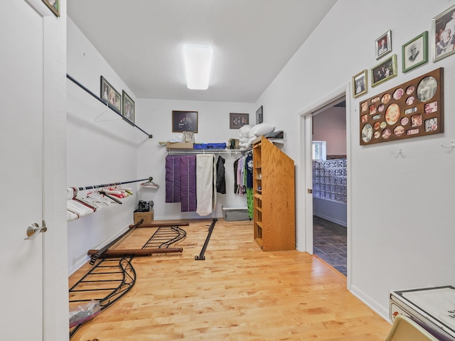 walk in closet featuring wood finished floors