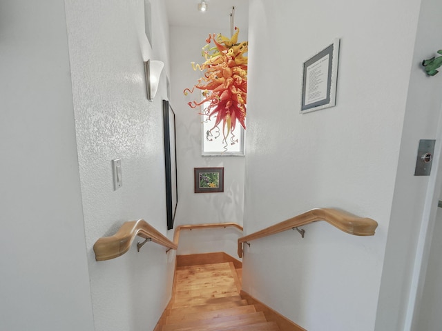 stairs featuring wood finished floors