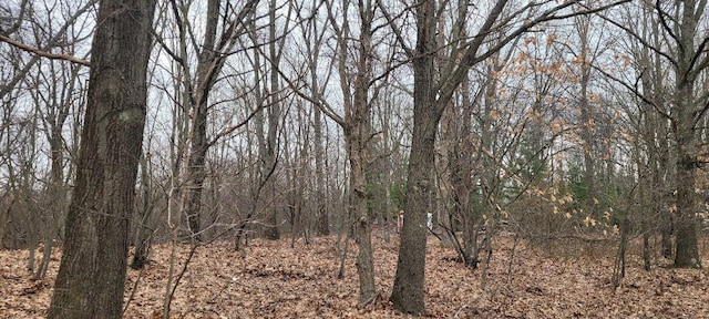 300 N 56th Ave, Mears, MI 49436 - photo 2