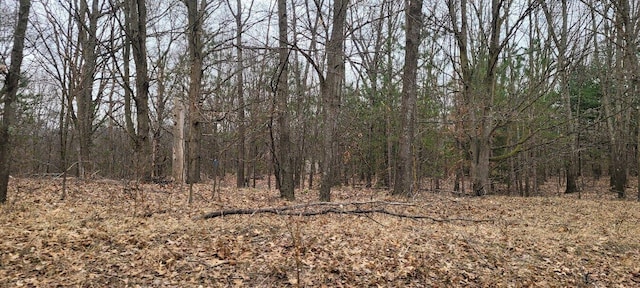 300 N 56th Ave, Mears, MI 49436 - photo 7