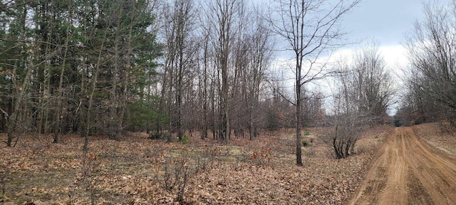 300 N 56th Ave, Mears, MI 49436 - photo 5