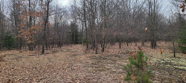 300 N 56th Ave, Mears, MI 49436 - photo 4
