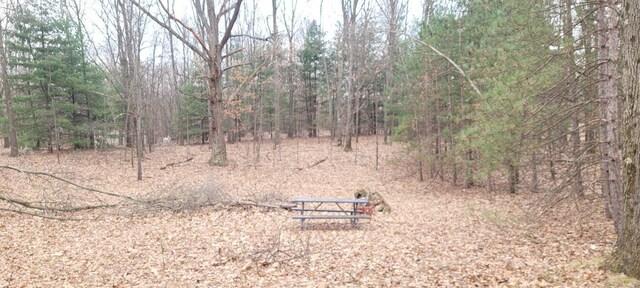300 N 56th Ave, Mears, MI 49436 - photo 20