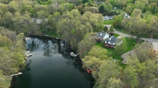 159 Westshore Dr, Jerome, MI 49249 - aerial view of property's location featuring a large body of water and a heavily wooded area