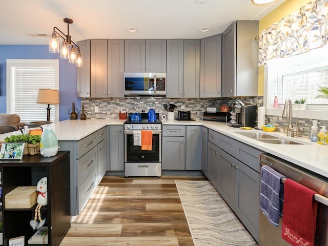 kitchen featuring light countertops, a sink, appliances with stainless steel finishes, gray cabinetry, and light wood-style floors