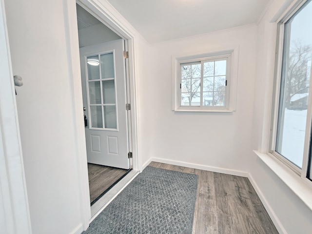 entryway featuring hardwood / wood-style flooring and ornamental molding