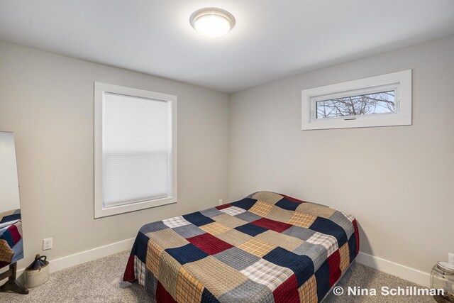 834 N Michigan St, Fremont, MI 49412 - photo 21