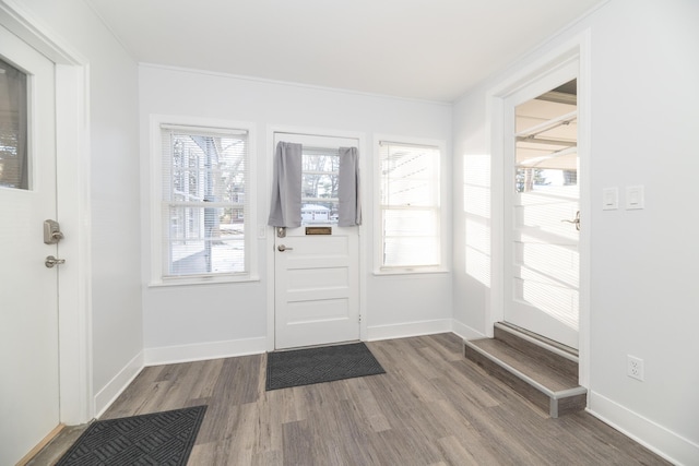 foyer with hardwood / wood-style flooring