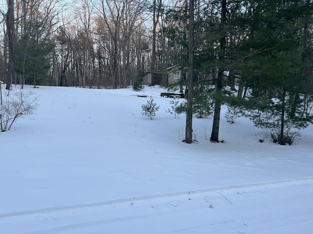 LOT62 14th Ave, Mears, MI 49436