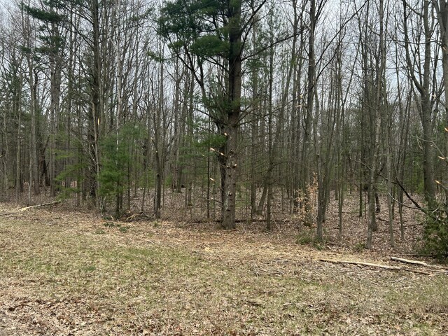 LOT62 14th Ave, Mears, MI 49436
