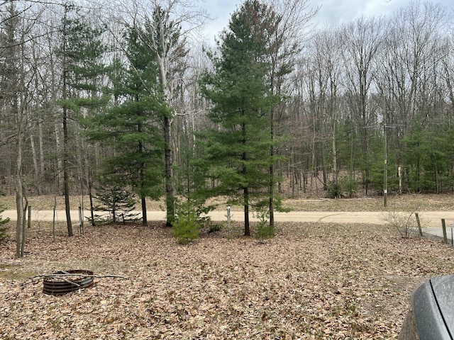 LOT62 14th Ave, Mears, MI 49436