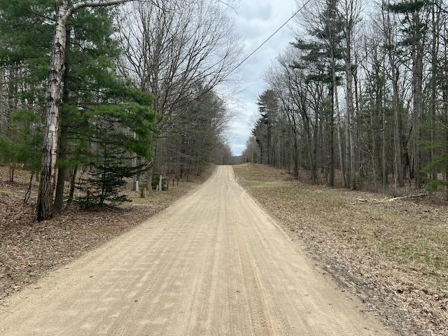 LOT62 14th Ave, Mears, MI 49436
