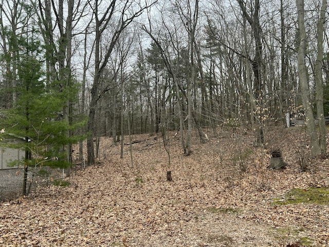 LOT62 14th Ave, Mears, MI 49436