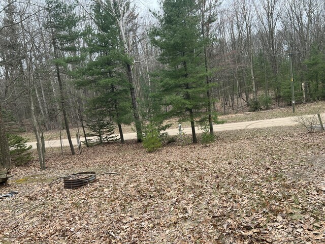 LOT62 14th Ave, Mears, MI 49436
