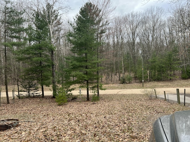 LOT62 14th Ave, Mears, MI 49436