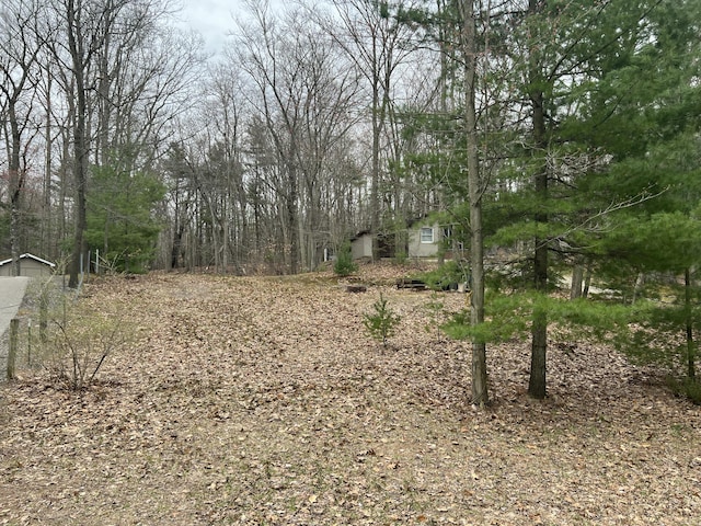 LOT62 14th Ave, Mears, MI 49436