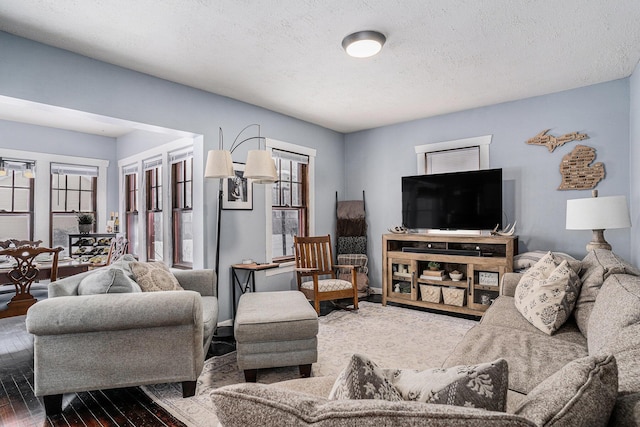 living room featuring a textured ceiling and hardwood / wood-style flooring