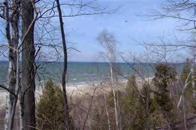 Listing photo 3 for Tolliver Lot 5Blk 13, Mears MI 49436