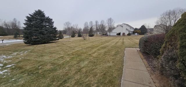 view of yard
