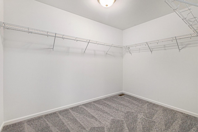 walk in closet featuring carpet flooring