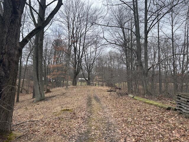 view of road