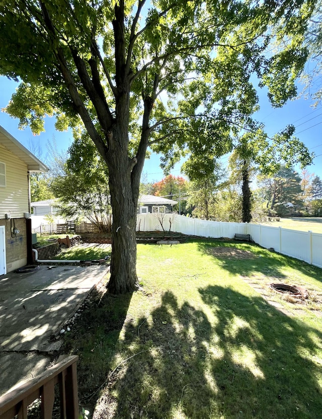 view of yard with a fenced backyard