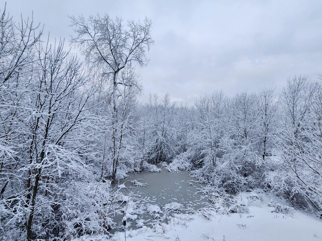 4588 Gordonshire NW, Grand Rapids, MI 49534 - view of snowy view