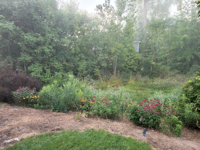 4588 Gordonshire NW, Grand Rapids, MI 49534 - view of landscape