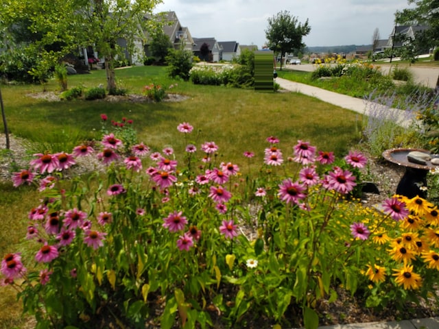 4588 Gordonshire NW, Grand Rapids, MI 49534 - view of yard