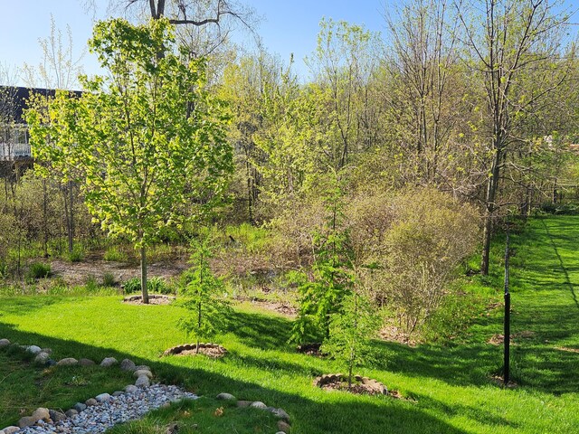 4588 Gordonshire NW, Grand Rapids, MI 49534 - view of yard