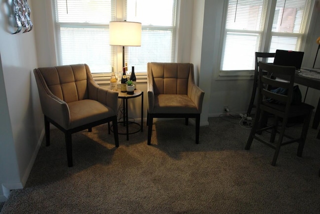 sitting room featuring carpet and baseboards