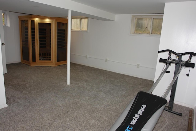 workout area featuring carpet flooring