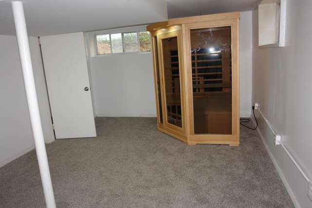 basement featuring carpet flooring