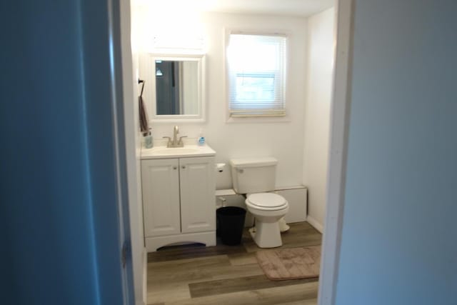 bathroom featuring vanity, toilet, and wood finished floors