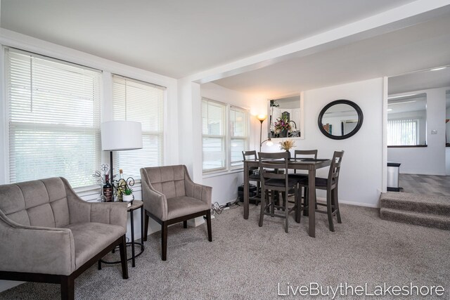 5480 Cheryl Ave SE, Grand Rapids, MI 49508 - photo 14