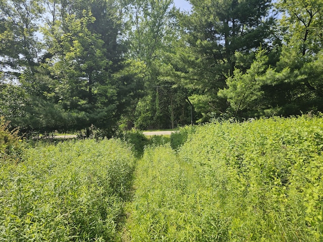 18080 Calvin Hill St, Cassopolis, MI 49031