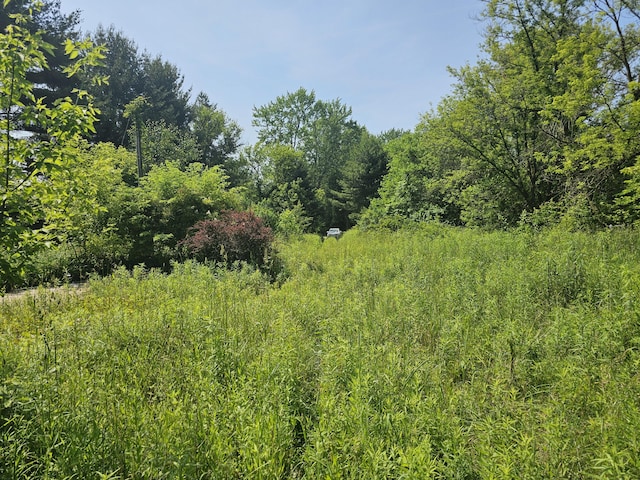 18080 Calvin Hill St, Cassopolis, MI 49031
