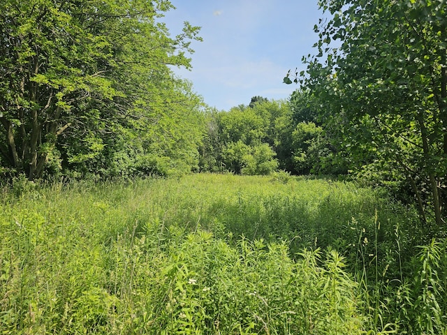 18080 Calvin Hill St, Cassopolis, MI 49031