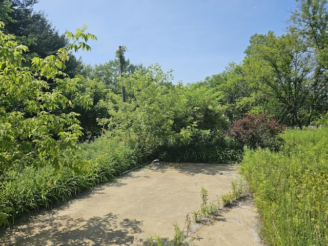 18080 Calvin Hill St, Cassopolis, MI 49031